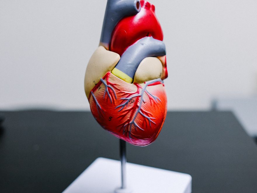 Hjertestarter